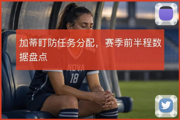加蒂盯防任务分配，赛季前半程数据盘点